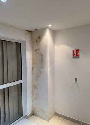 IMG_4869 IMG_4869