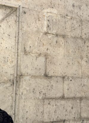 IMG_5383 IMG_5383