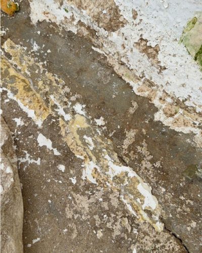 diagnostic fuites et infiltrations bâtiment