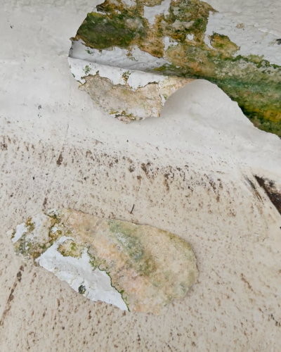 diagnostic pathologies bâtiment